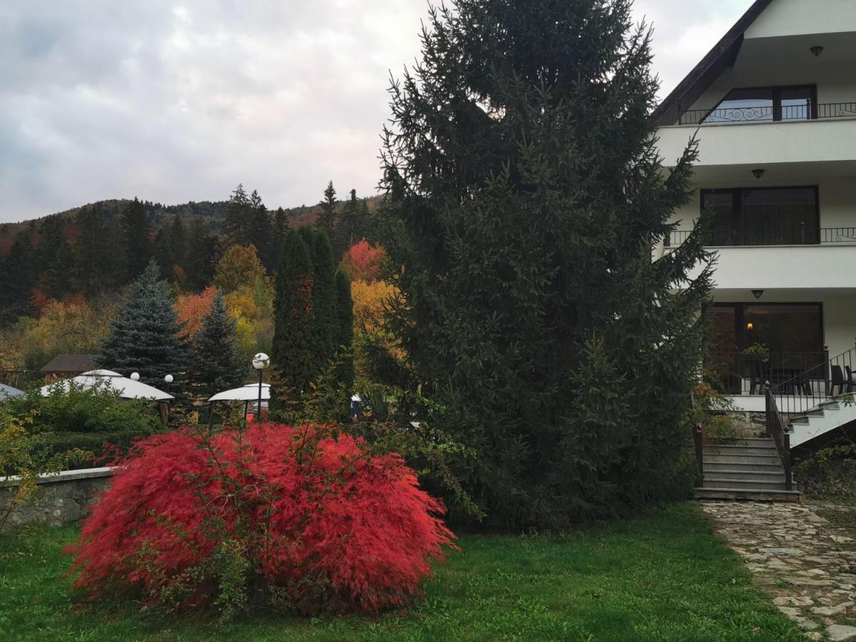 Pensiune Pensiunea 4*